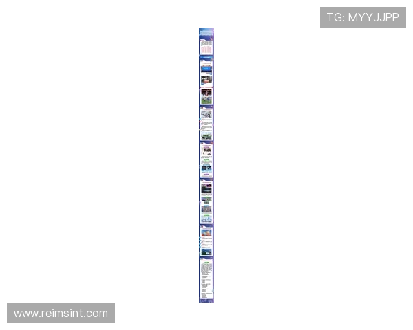 开云体育全站全面解析：最新功能介绍与使用指南助你轻松畅享体育盛宴